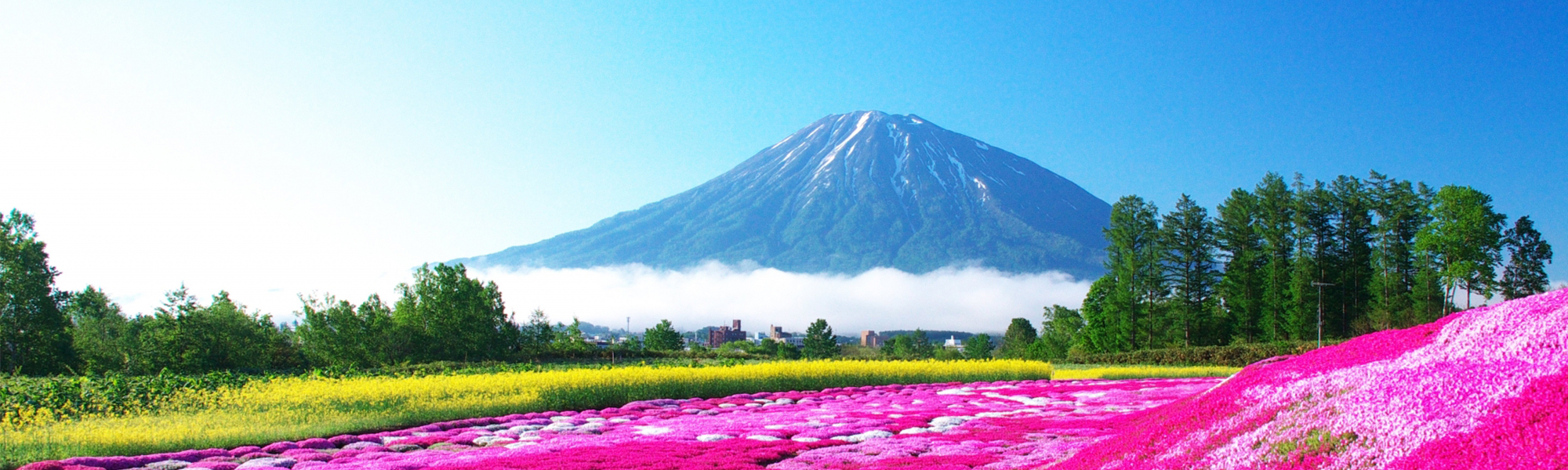 Niseko International Transport株式会社